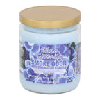 Vela Smoke Odor Eliminator