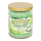 Vela Smoke Odor Eliminator