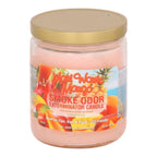 Vela Smoke Odor Eliminator