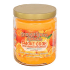 Vela Smoke Odor Eliminator